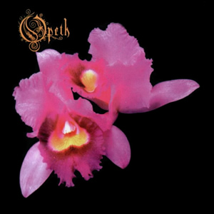 Orchid Cover